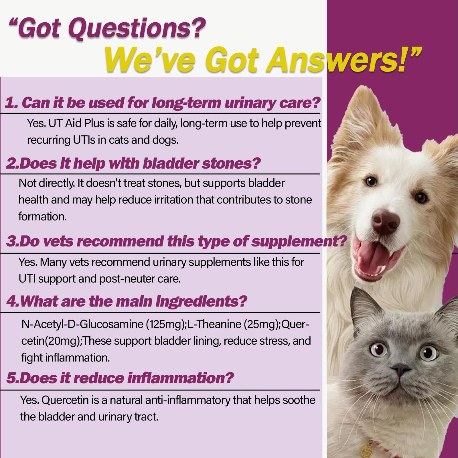 Natural UTI Treatment for Cats & Dogs – Antibiotic-Free Urinary Tract Infection Support Supplement – Bladder & Kidney Health – Incontinence Prevention – 30 Capsules — Amazon image 6