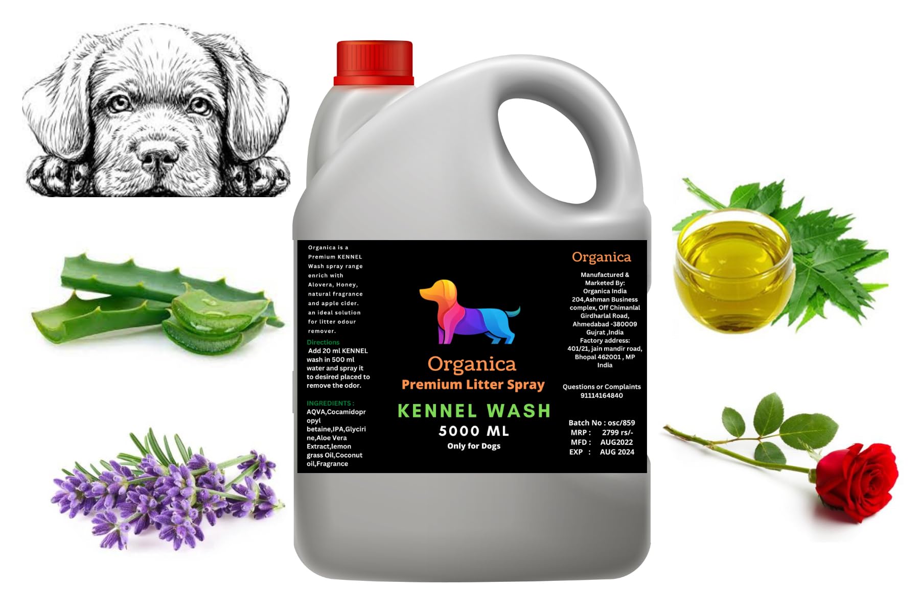OrganicaKennel Wash | 5000 ML | Kennel Cleaner | Pet Floor Cleaner | Pet Area freshener | Odour Neutralizer | Anti Microbial | Disinfectant | Super Concentrate | Orange Power