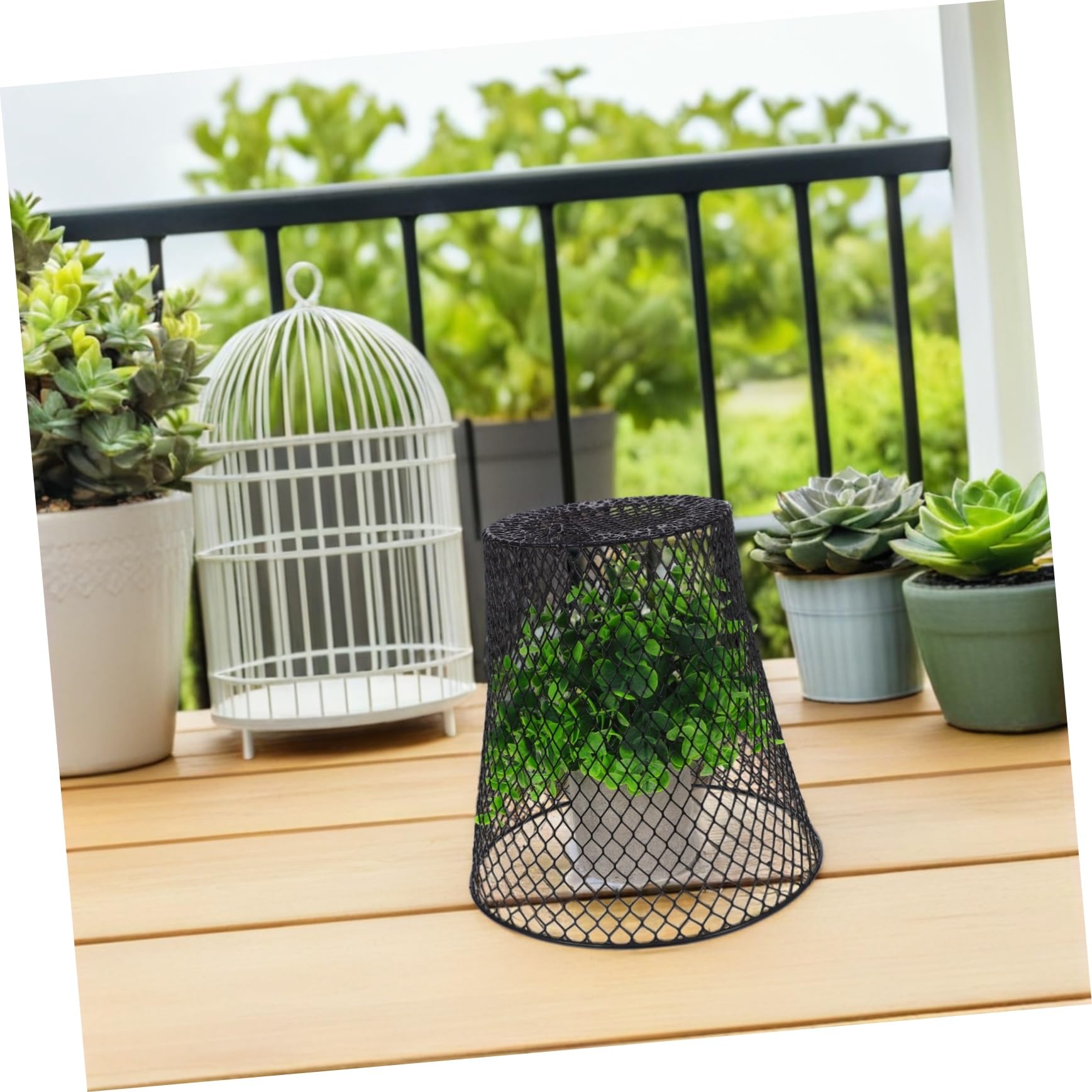 Hemobllo Cloches De Jardin Fil De Fer Cage De Protection pour Plantes Et Légumes Robuste Et Résistant Aux Intempéries pour Balcon Et Petits Jardins