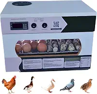 Chocadeira Automática 35 a 45 Ovos, Incubadora Digital com Ovoscópio, Controle por APP, para Galinha e Codorna