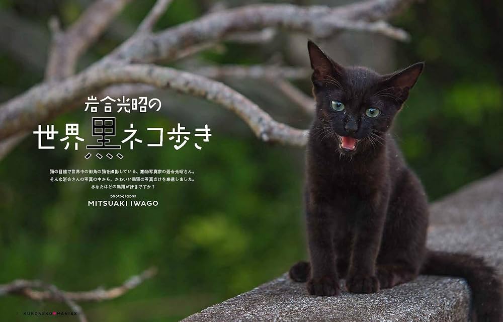 黒猫Jack(プロフ必読)　1211 黒猫Jack(プロフ必読) 1211 専用ページ 黒猫Jack(プロフ必読)様