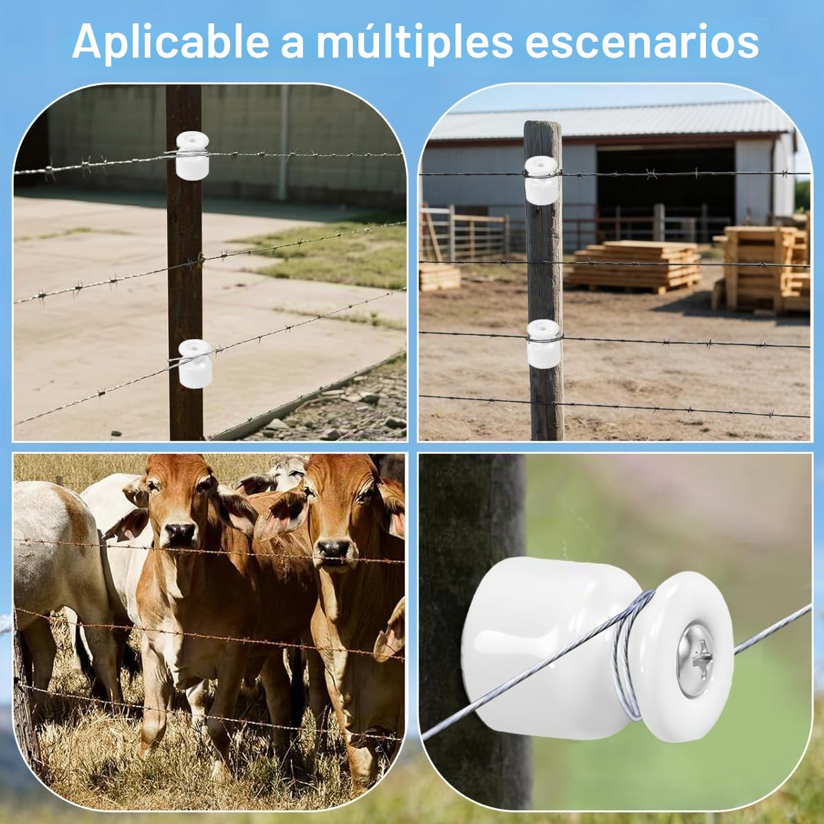 20PCS Aisladores de Porcelana para Cable Trenzado Ø19 mm, Abrazadera Cable Porcelana, Aisladores de Ceramica Blanco, Aislante dePorcelana con Tornillos y Tacos para Seguridad deCable Eléctrico