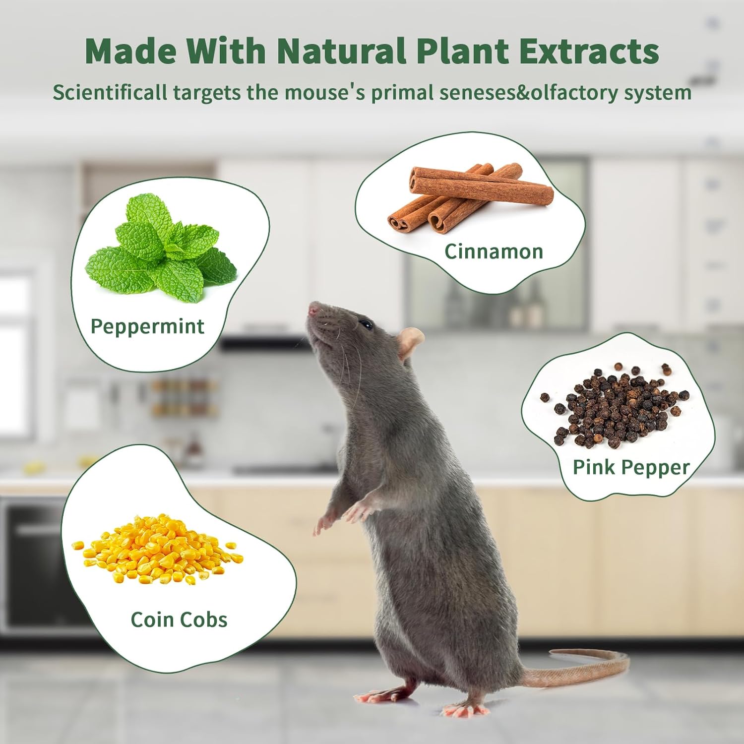 Mouse Rodent Repellent, 24 Pack Peppermint Oil to Repel Mice and Rats– Works for Mice Repellent, Squirrels, Indoor/Outdoor Use, Safe for Homes & Pets - Image 2