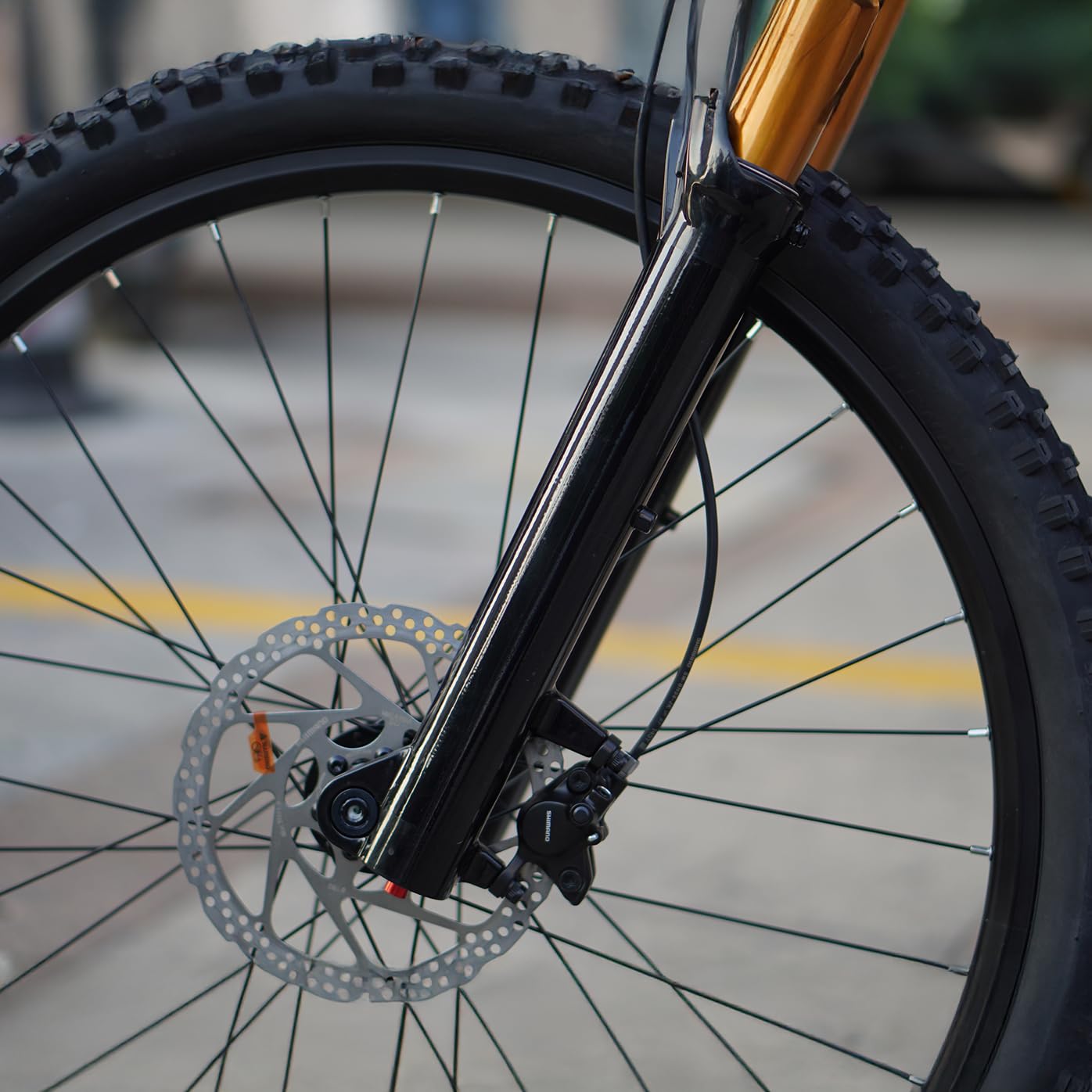 Chooee Downhill Bike Rahmenschutz,33 Stück DH Fahrrad Rahmenschutz Folie Set für Frame Protection Ober/Unterrohre, Kettenstrebe, Kabelverschleiß