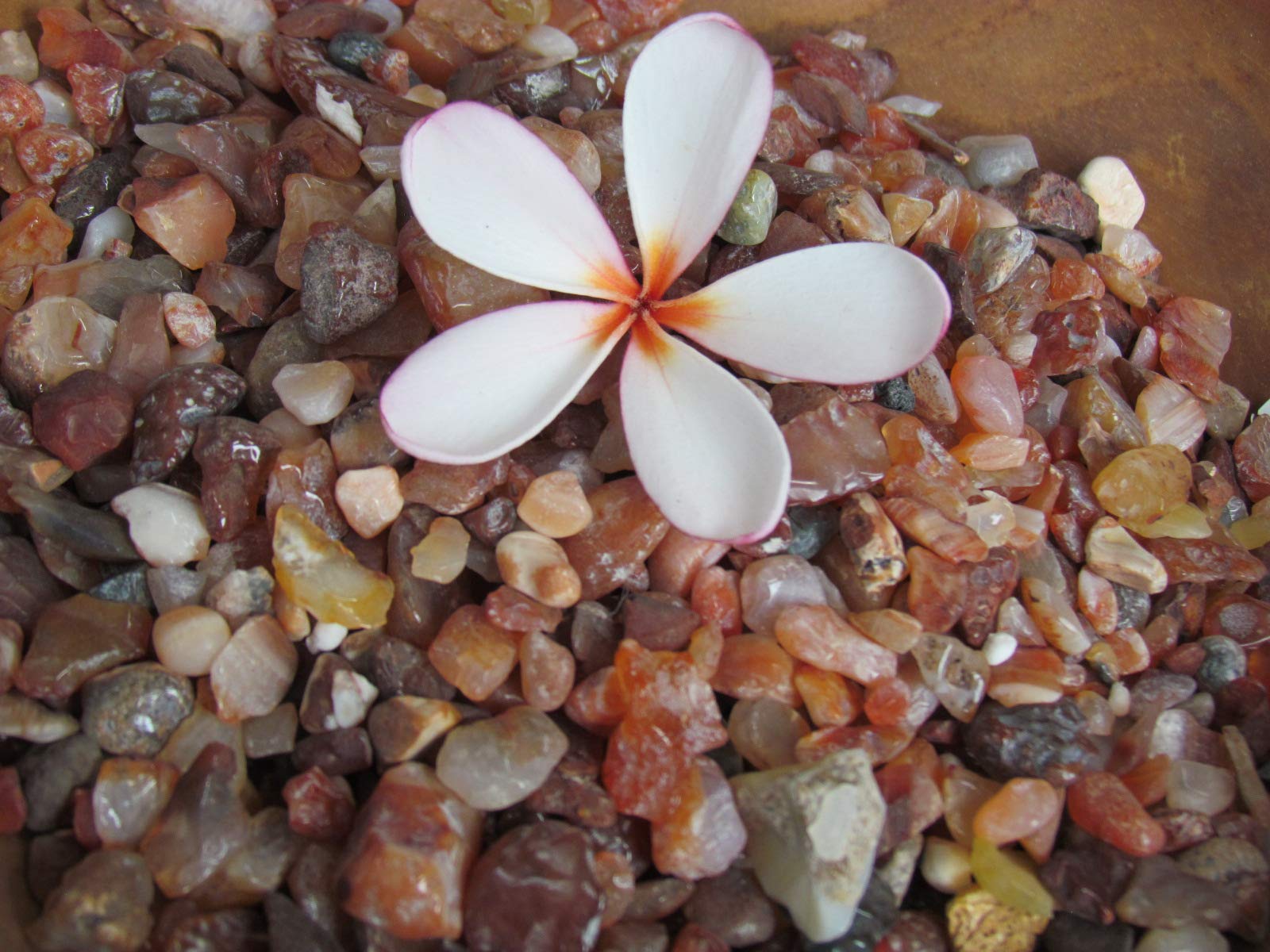 Garden Art Home Decorative, Chips Red Pebbles, (5-15mm) (5kg) (B0776RQ6KJ) Amazon Price History, Amazon Price Tracker
