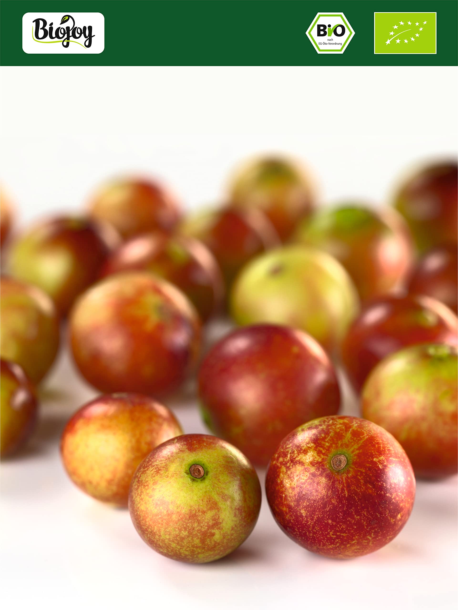 Biojoy Camu Camu BIO in polvere (500 g), Completamente Naturale (Myrciaria dubia)