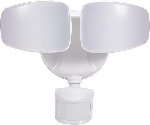 LIT-PaTH Luz de seguridad LED, luz de inundación para exteriores, 30 W 2000 lúmenes, 2 cabezales ajustables, a prueba de agua, 1 paquete, acabado