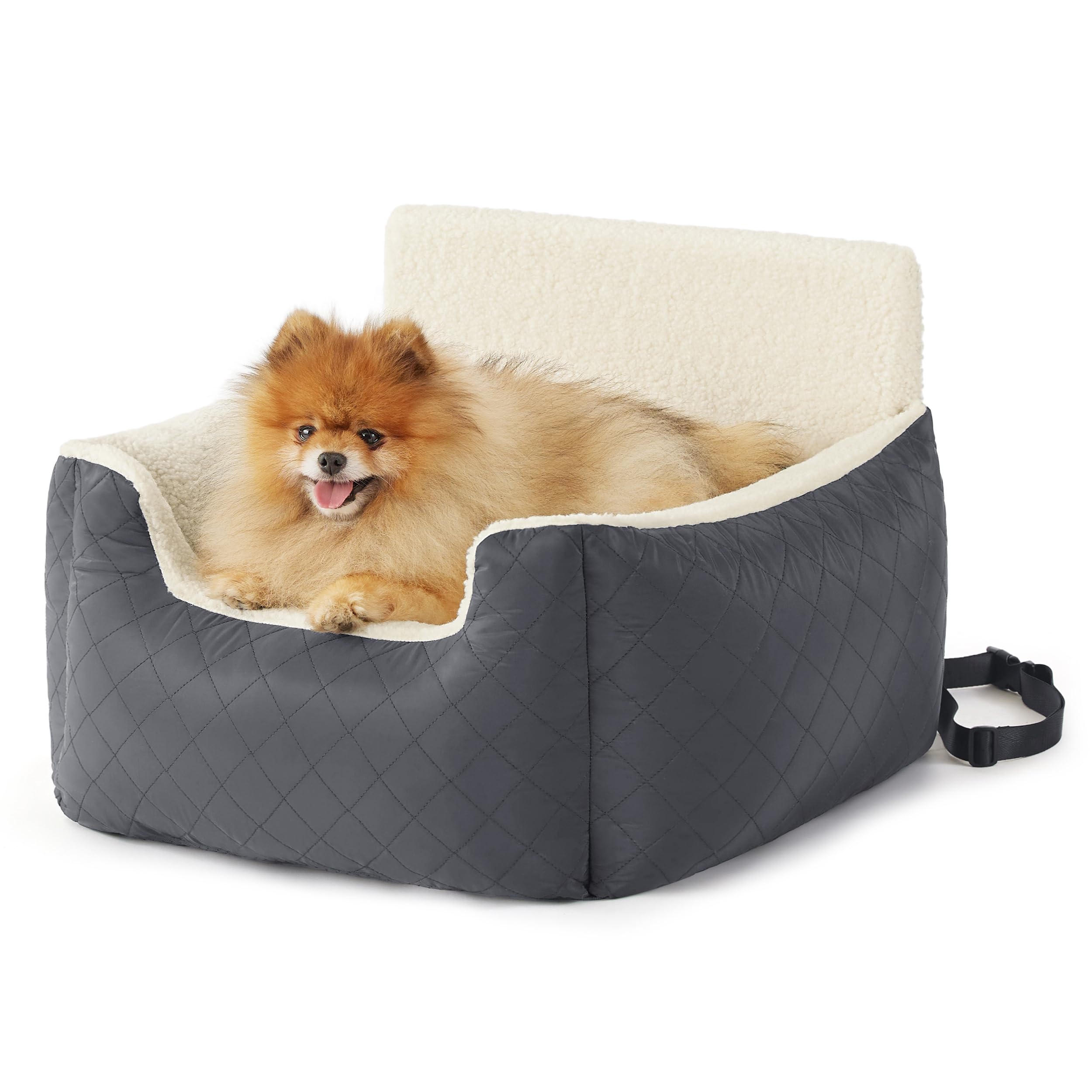 Lesure Small Dog Car Seat - Waterproof Car Seats for Small Dogs Pet Seat with Clip-On Leash for Travel Carrier Booster Bed, Dark Grey