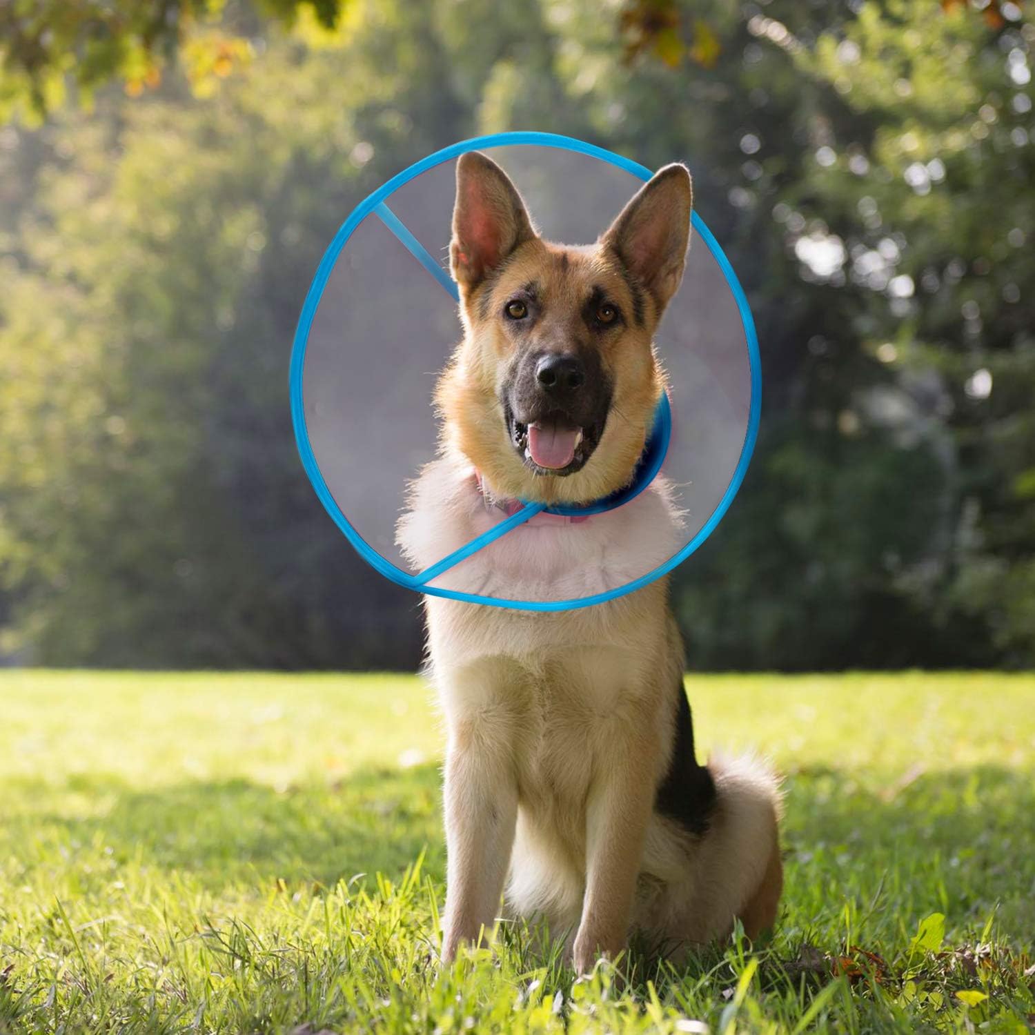IN HAND Adjustable Recovery Dog Cone Cat Cone Clear Padded ECollar with Breathable Soft Edge Plastic Soft Cone Designed for Cats and Puppies
