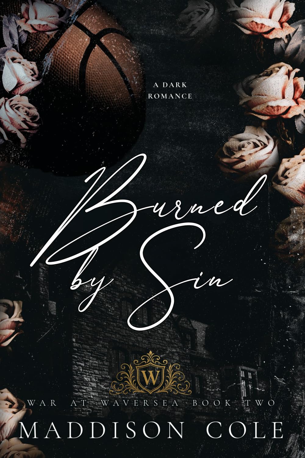 Burned by Sin: Why Choose Academy Sports Romance (War at Waversea)