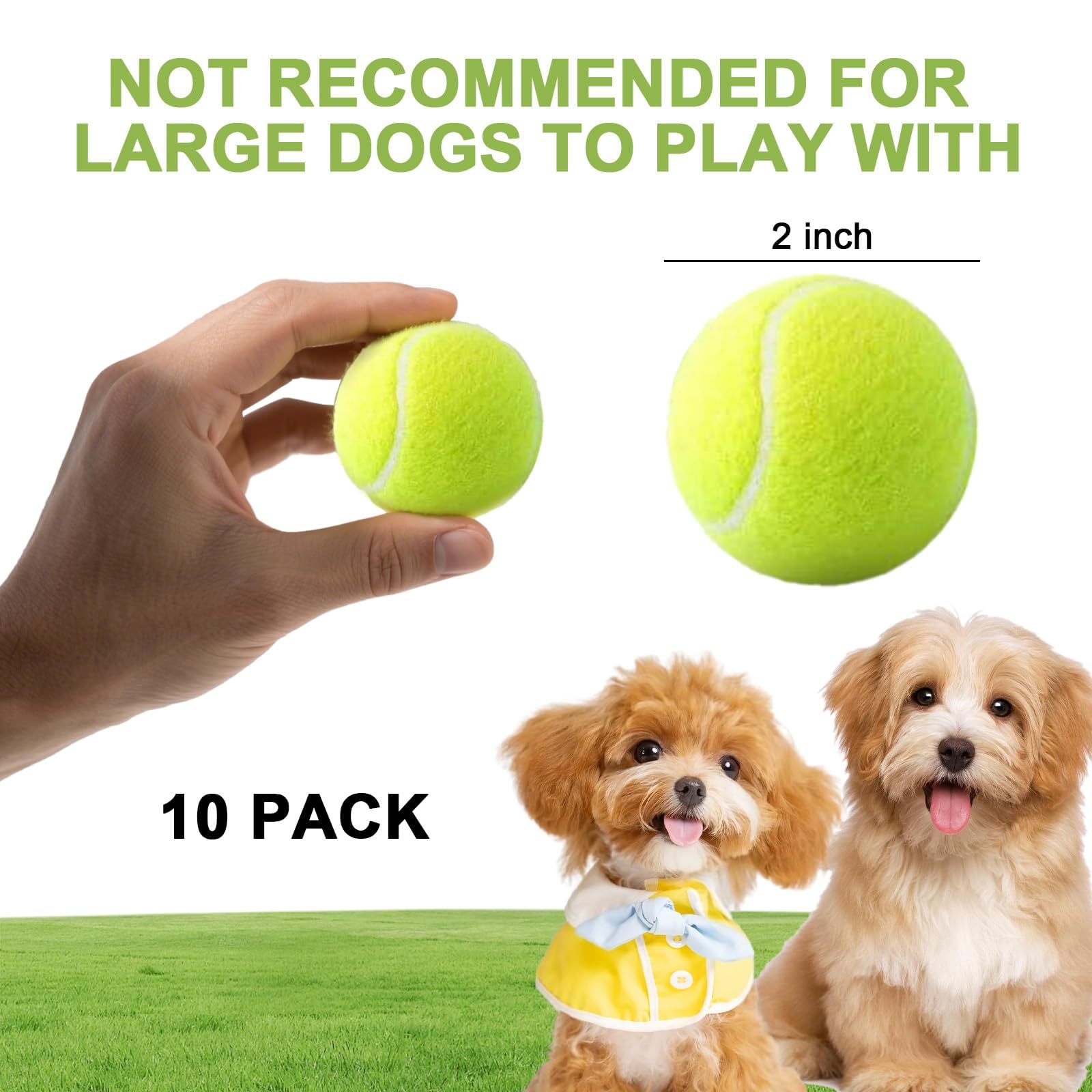 RERBIO 10 Pack 2-inch Small Dog Tennis Ball Dogs Interactive Toys,Tennis Balls for Small Dogs, Only Fits 2 inch Dog Ball Launchers, Not Applicable to Balls Thrower - image 5