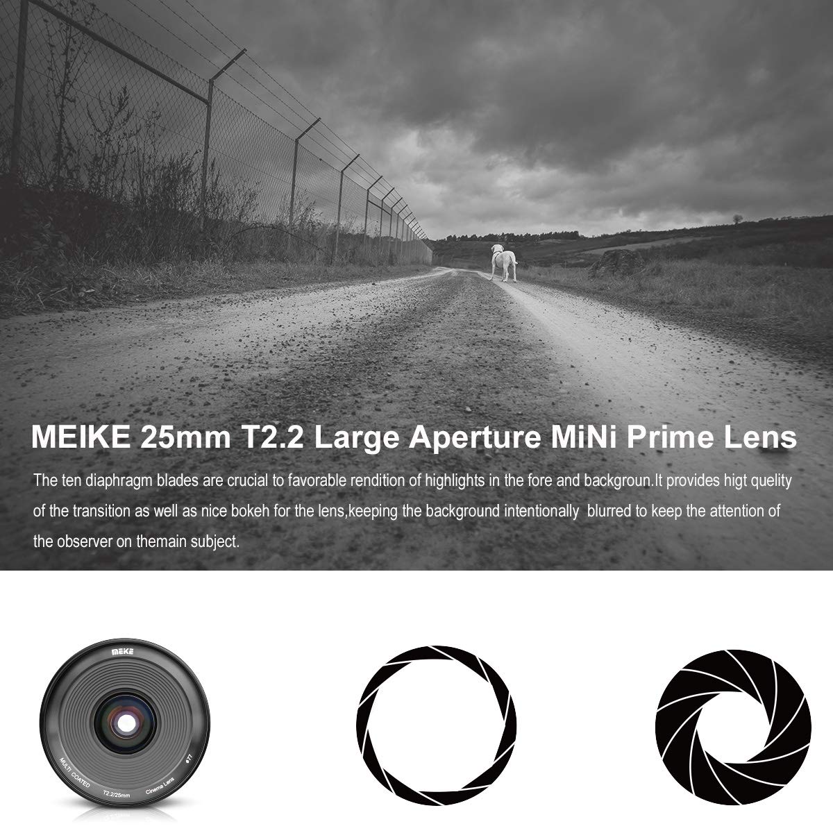 Amazon | Meike MK-25mm T2.2大口径マニュアルフォーカスプライムミニ 