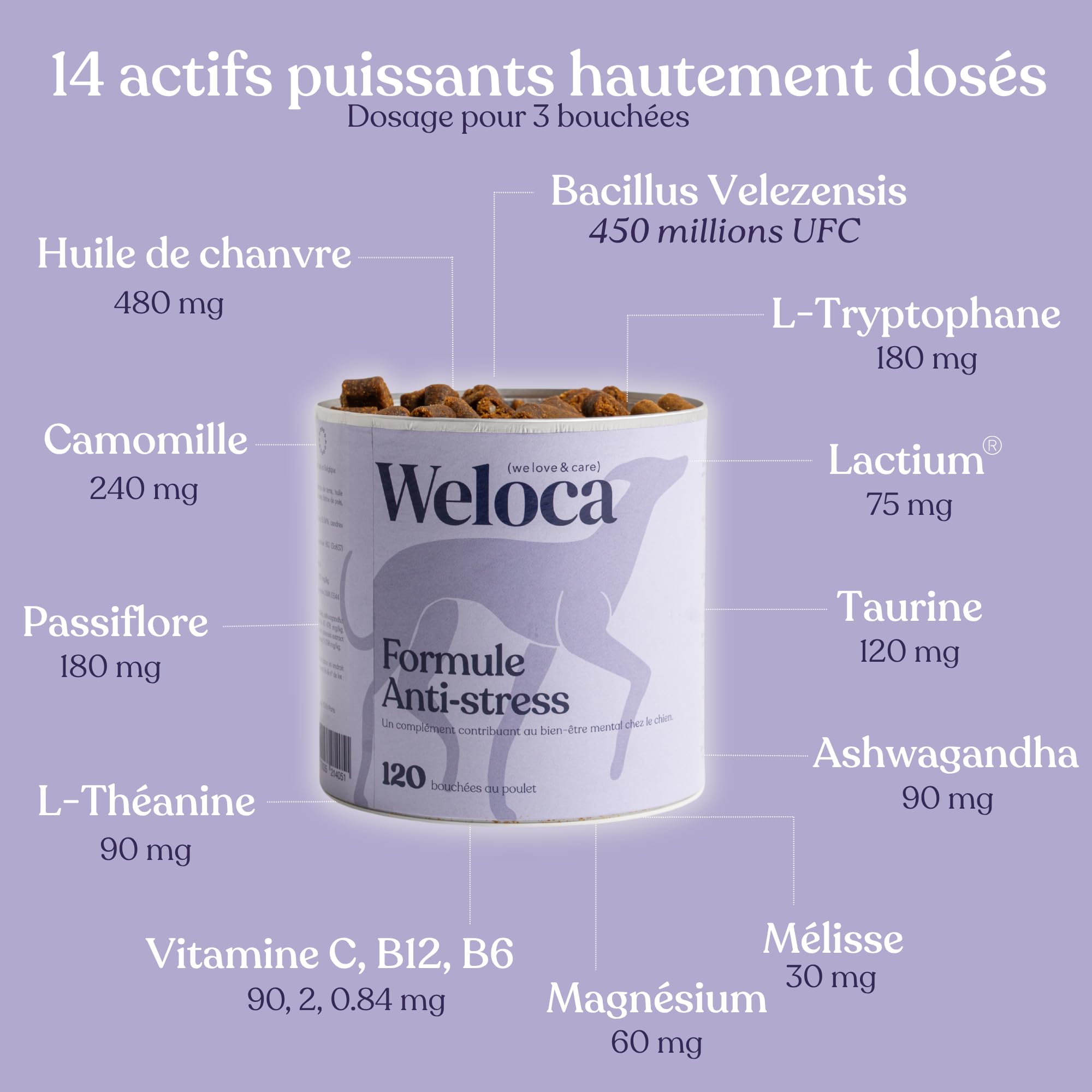 Anti-stress chien - 13 Actifs puissants naturels - Calmant pour chiens stressés, anxieux, réactifs, chiens hyperactifs - 120 compléments apaisants - Complément alimentaire chien - Nouvelle formule