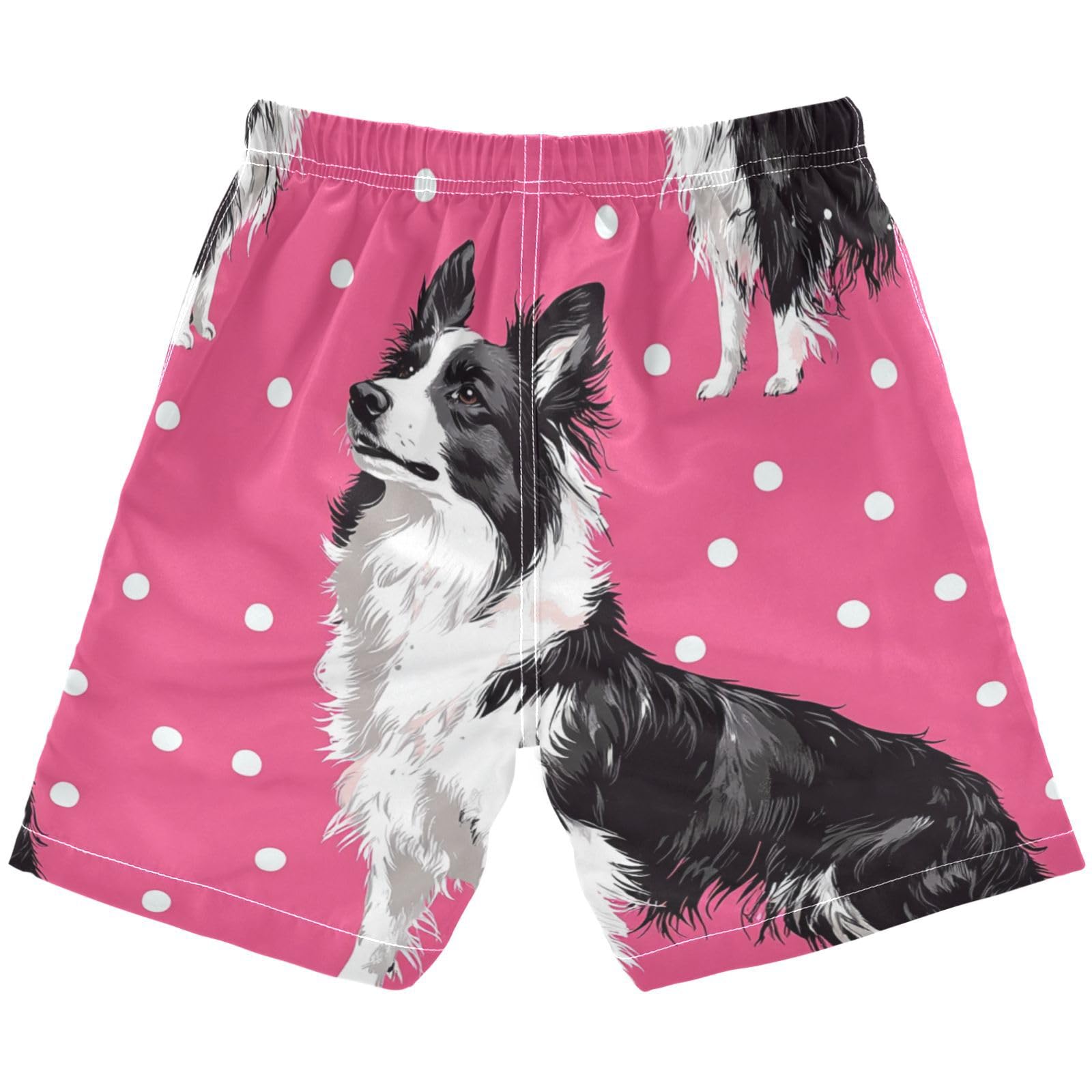Jucciaco Boys Beach Board Shorts Collie Shepherd Dog Swim Trunk Teen Swimwear Multicolor