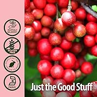 Vista 5 de Nature's Answer Schisandra - Extracto de bayas con alcohol orgánico, 1 onza líquida Apoyo a la salud digestiva Promueve la mejora cognitiva