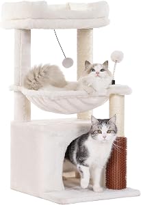 Pet Supplies