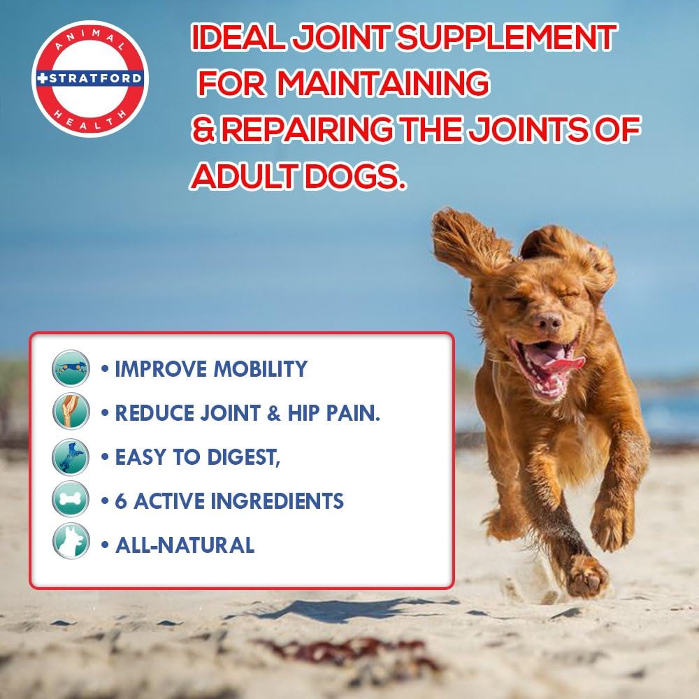 cadaflex soft chews with msm