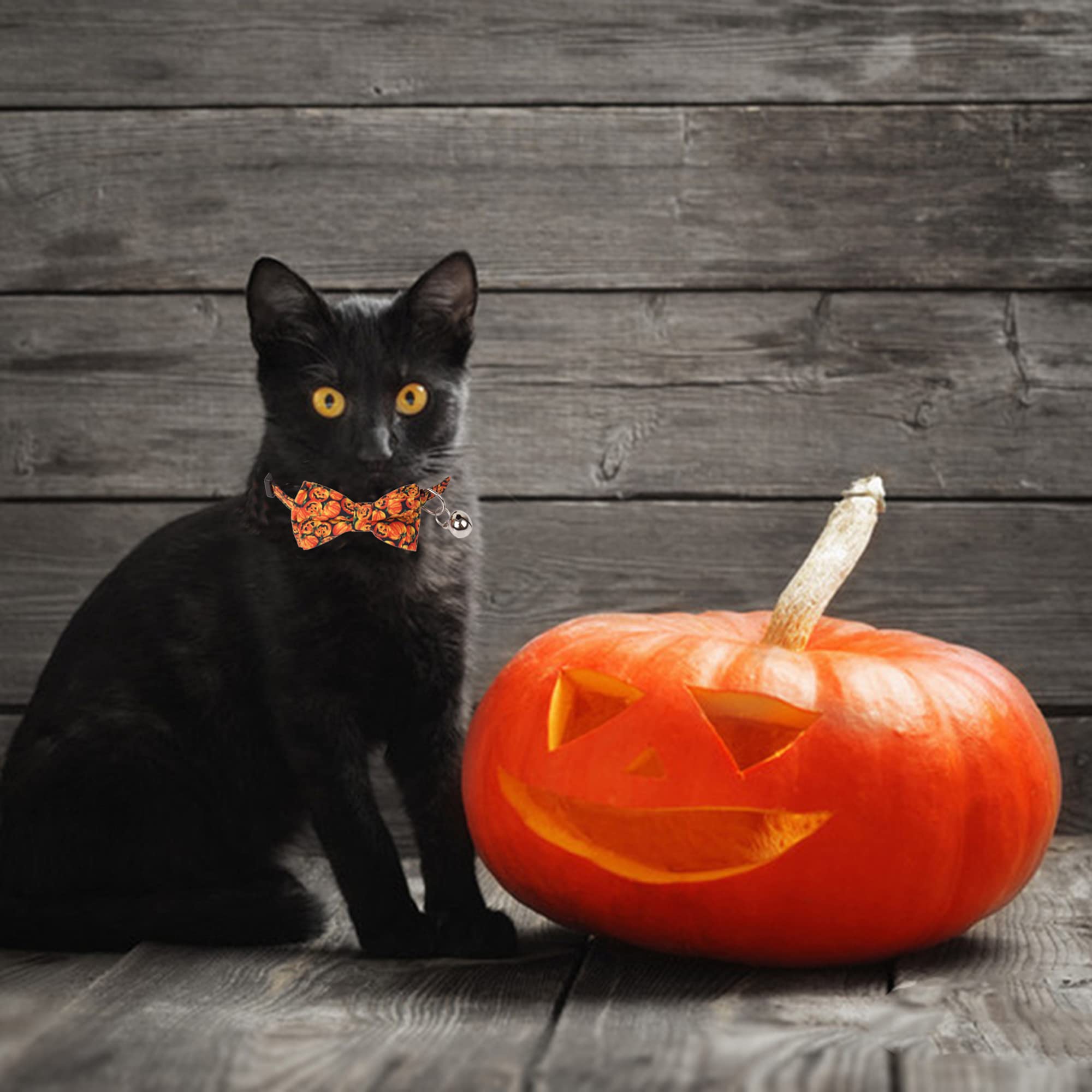 Set 4 Collari Per Cani E Gatti Con Campanellini - Tema Halloween Zucca E Teschio, Regolabili, In Tessuto, Per Feste E Accessori Moda Pet