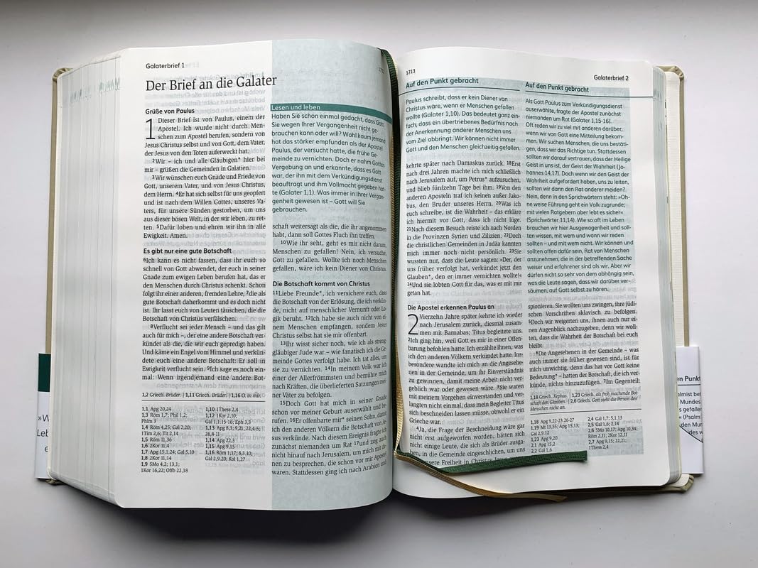 Die Bibel mit Impulsen von Joyce Meyer, Kunstlederausgabe: Lesen. Glauben. Leben. (Neues Leben. Die Bibel)