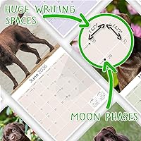 Vista 581 de Razas de Perros 2017