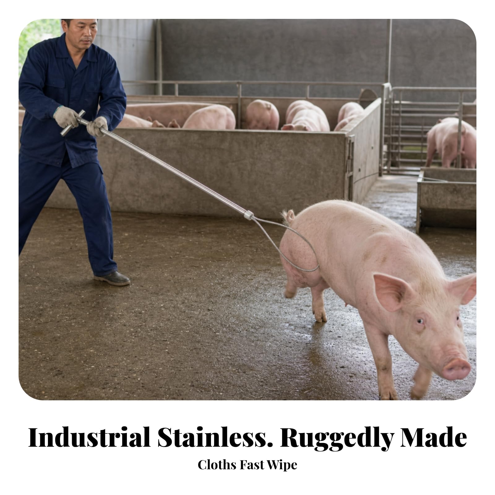 Porc en Câble Long Manche, Porcs, Réglable, Bâton Capture Poignée Auto-verrillante, pr Exploitatio D'élevage, Éleveurs