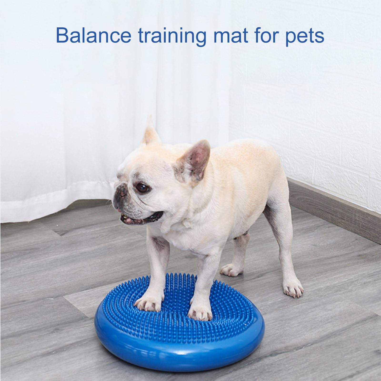 Tapis d'équilibrage pour chien avec surfaces texturées, fitness, stabilité, entraînement debout, amélioration des postures