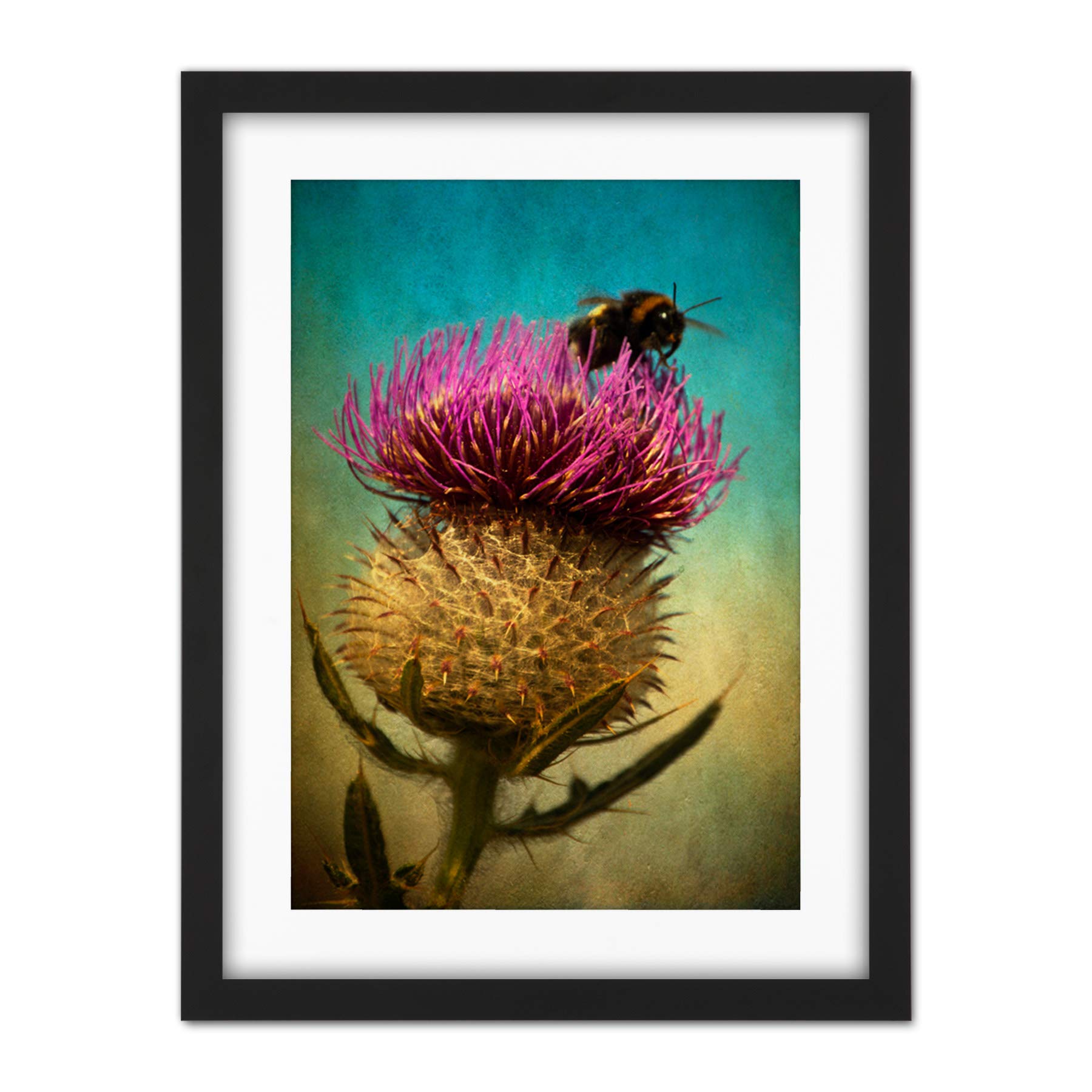 Wee Blue Coo Bumble Bee And Thistle Artwork Framed Wall Art Print 18X24 Inch