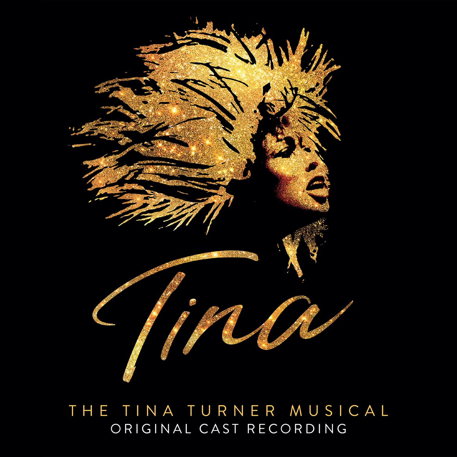 Tina: The Tina Turner Musical (Original Cast Recording) [VINYL]