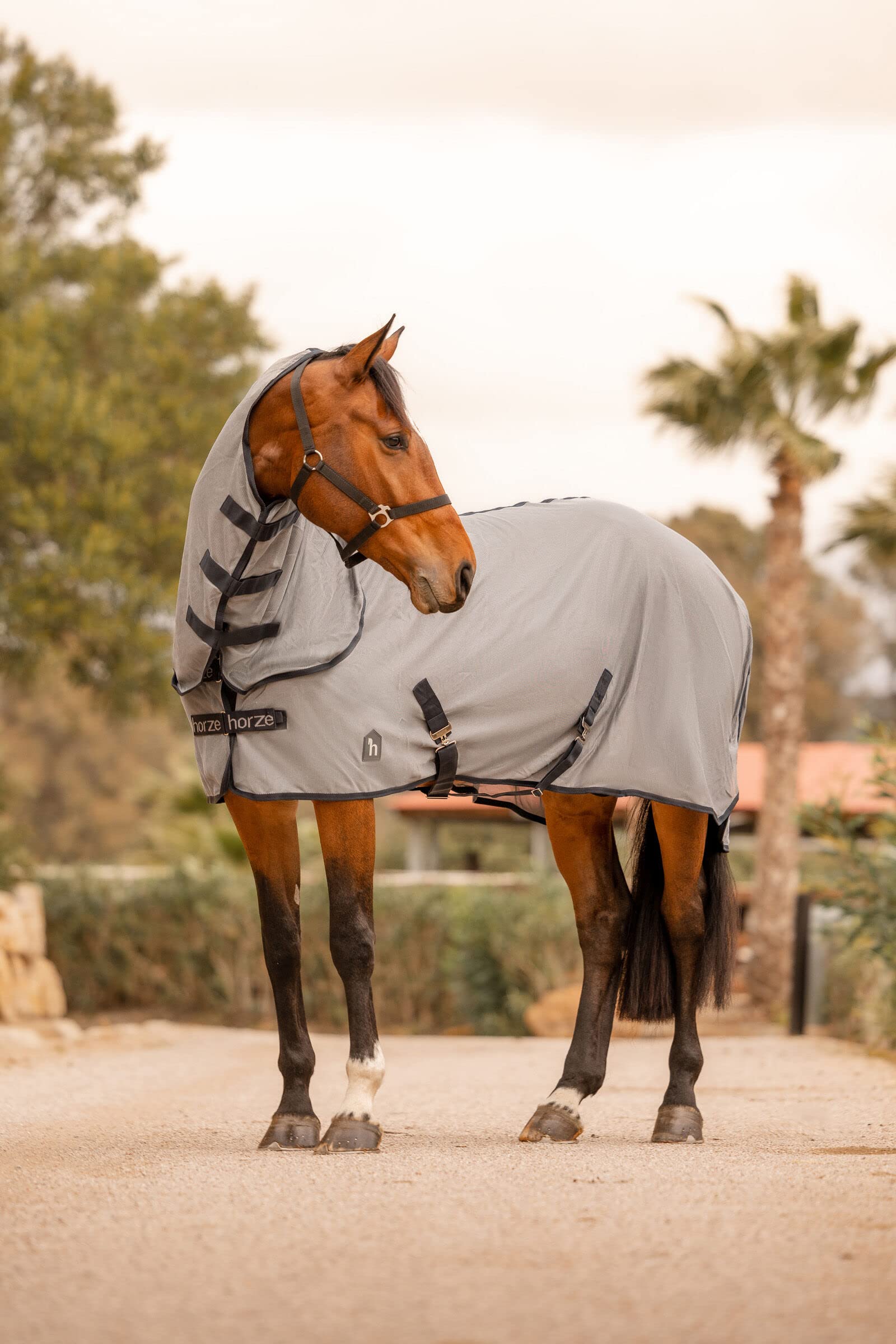 Horze - Manta antimoscas para caballos Paso Fino, protección contra insectos con escote extraíble y protección UV