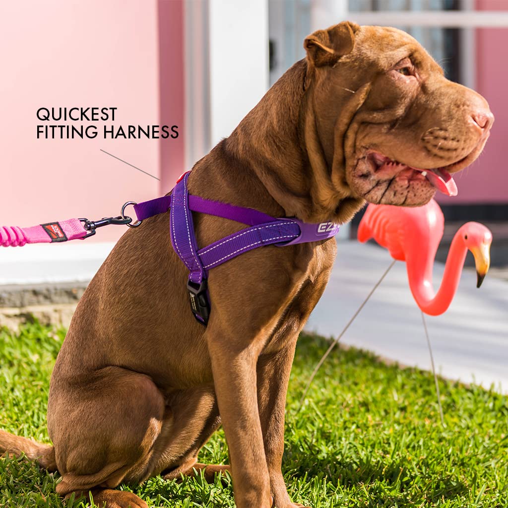 EZYDOG Quick Fit Dog Harness - Small, Medium, Large - Reflective Stitching, Water Resistant - No Pull (Grey) - Image 4