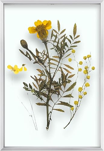 Vista 31 de Frametory, Marco de fotos flotante de 8 x 10 pulgadas, marco de fotos de metal de aluminio negro, cristal real de la parte delantera, para pantallas