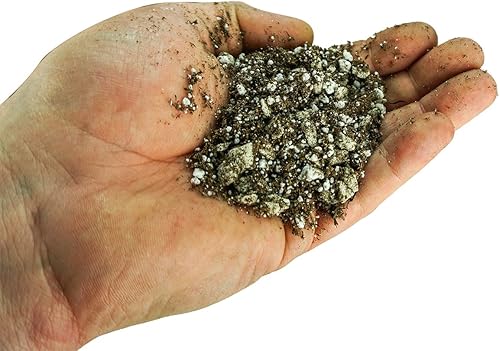 Miniatura 5 de Josh's Frogs Suelo suculento (1 cuarto de galón)