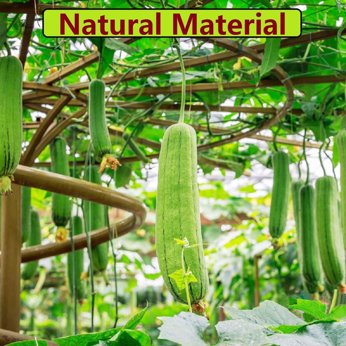 Luffa, zmywacz Loofah 6 szt. naturalna gąbka złuszczająca 10 cm do pielęgnacji ciała i usuwania martwej skóry - do łazienki, prysznica i kuchni