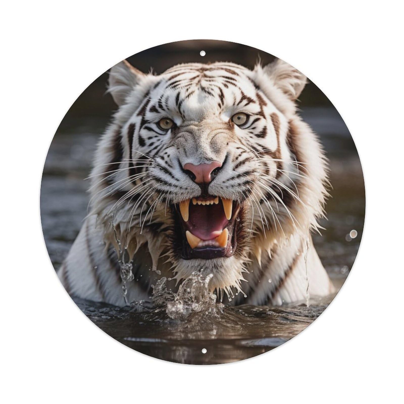Animal Bengal White Tiger Metal Tin Sign