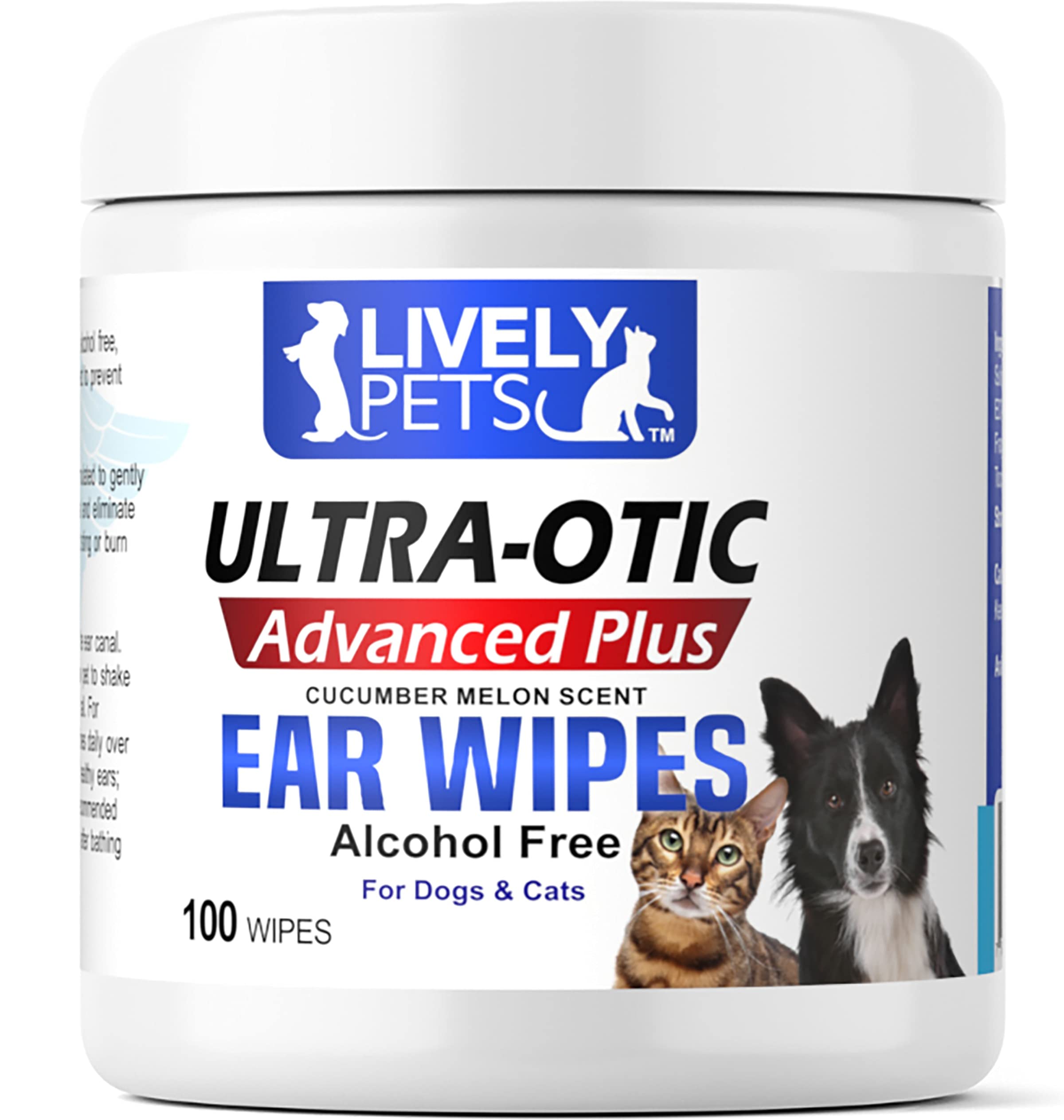 Can Dogs Get Ear Infections From Groomers