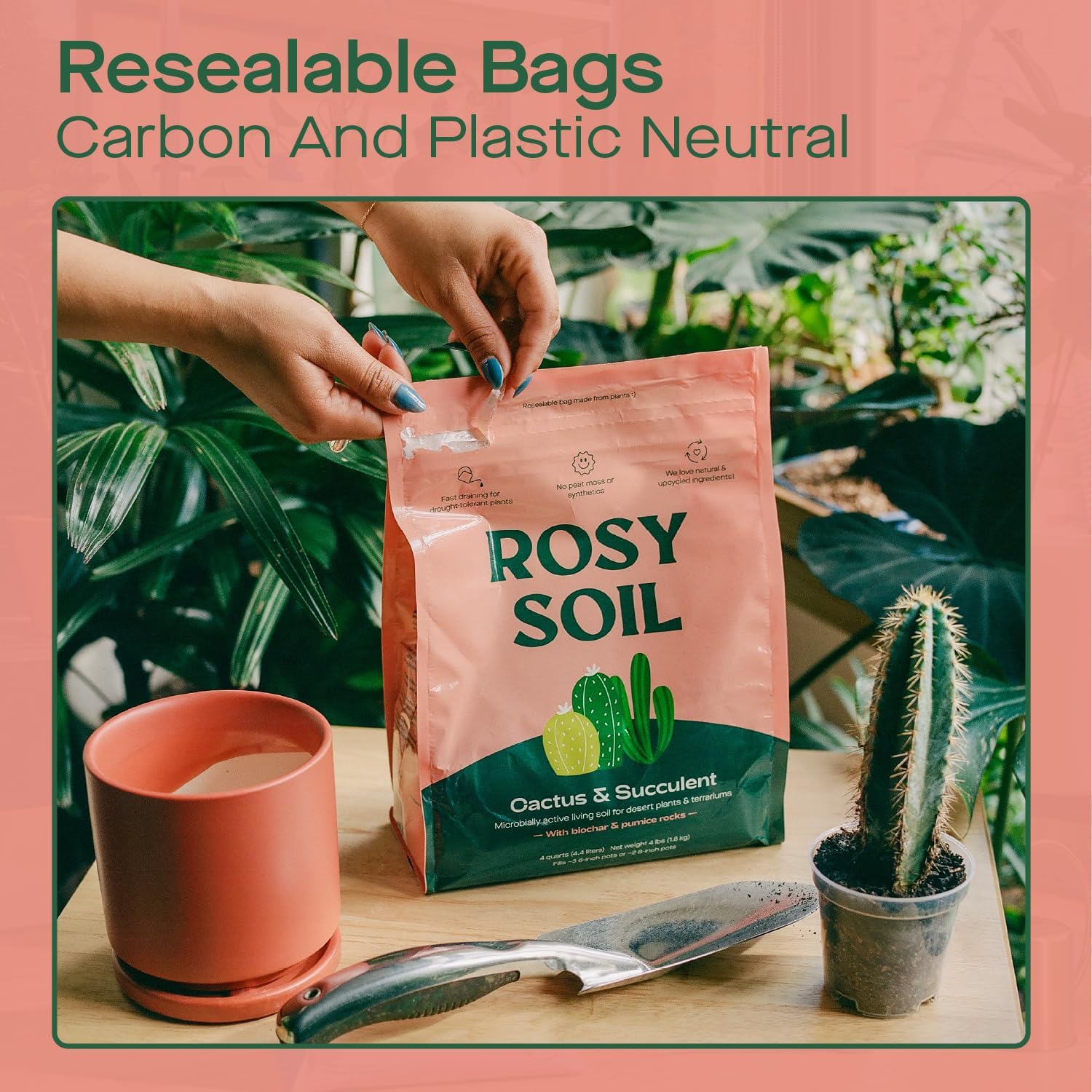 Cactus and Succulent Organic Potting Soil Mix for House Plants - Fast Draining, Root Boosting, Peat-Free, Less Prone to Gnats - Drought-Tolerant - Growth of Aloe Vera, Cacti and Indoor Succulents- 4qt - Image 5