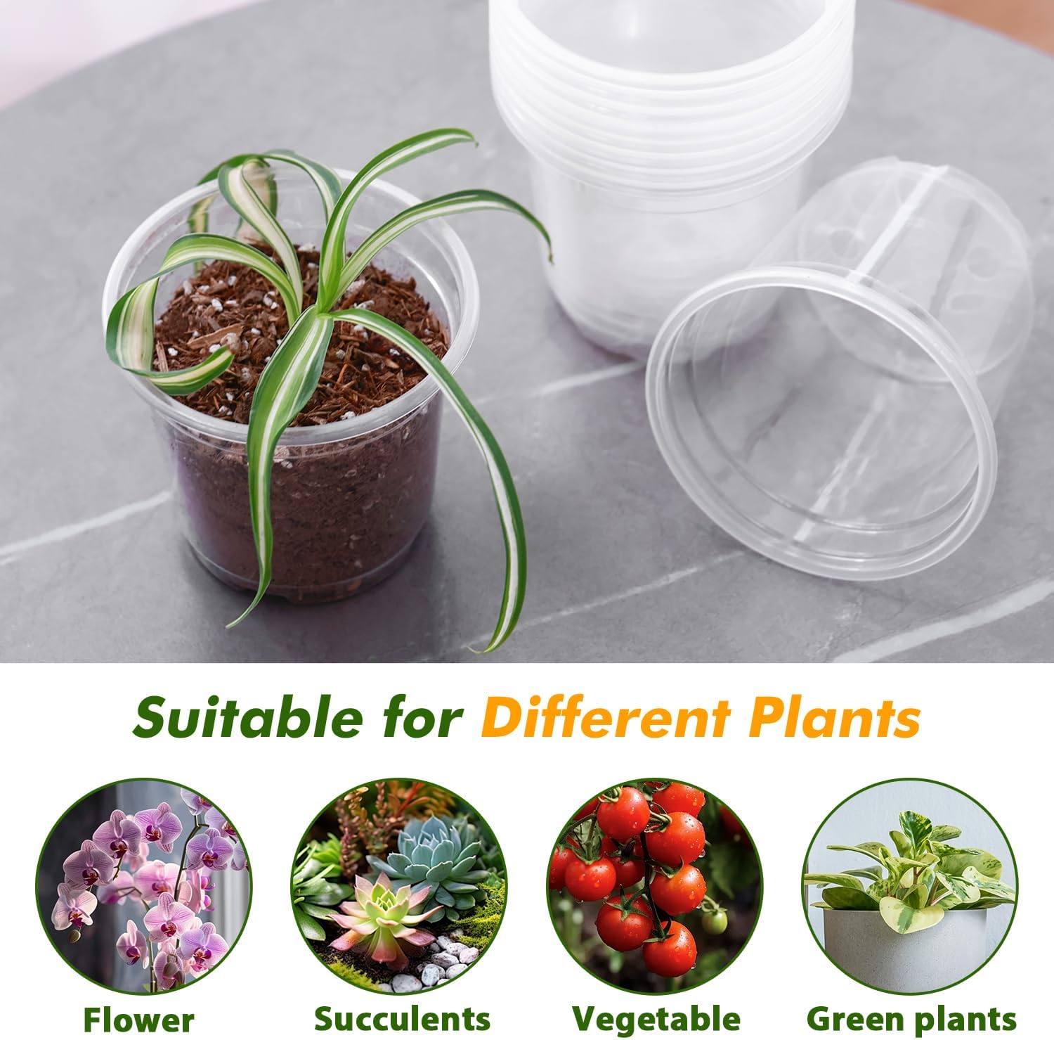 60 Pcs Clear Nursery Pots with Drainage Indoor 4 5 6 Inch Nursery Pot with Drainage Holes Plastic Seedling Pots for Plants, Plant Starter Pot with Holes Clear Plastic Planter for Indoor Plants