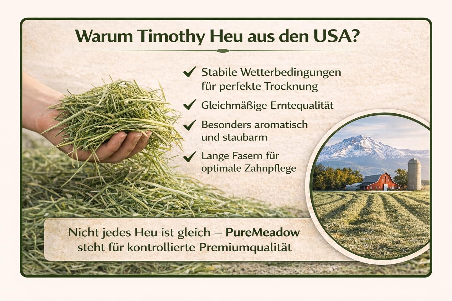 PureMeadow Premium Timothy Heno para conejos, cobayas, chinchillas, hámsters y otros animales pequeños, 3 kg