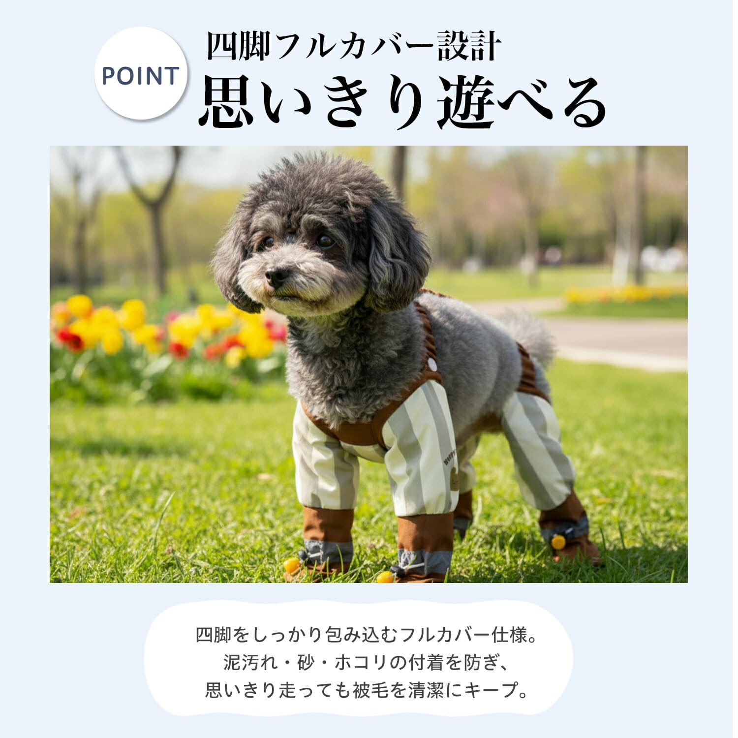 Amazon.co.jp: Lifetips ダックスフンド 犬用レッグカバー