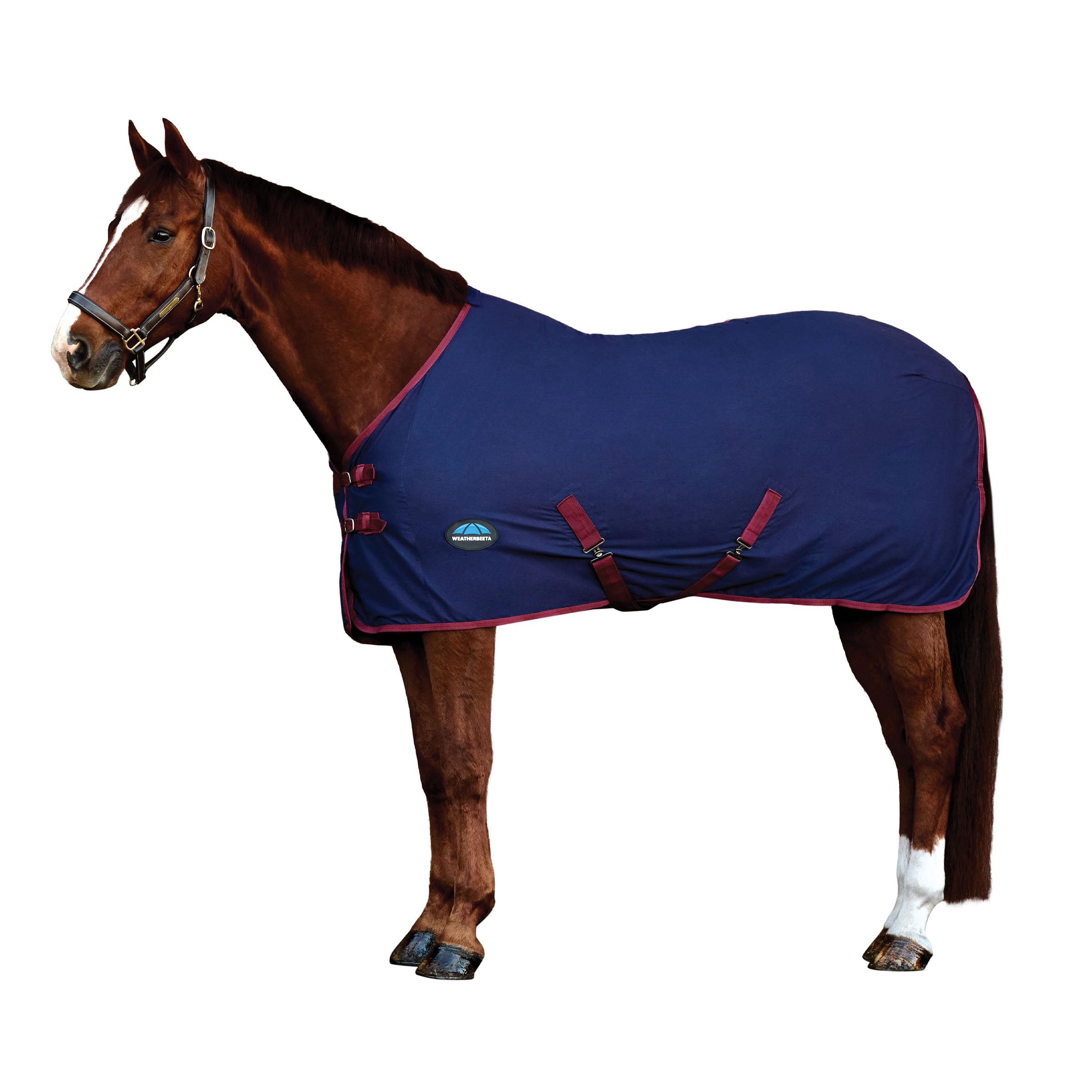 WeatherBeeta Cotton Sheet Standard Neck, Navy/Burgundy, 7'0