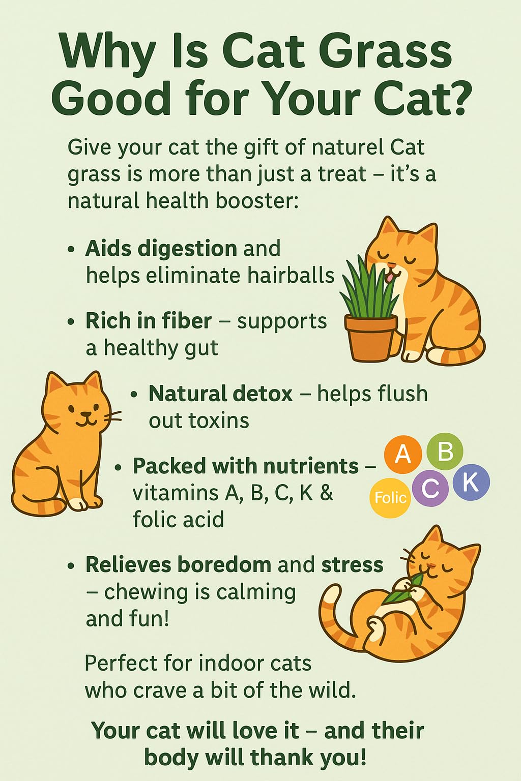 Ambrozia NP Cat Grass Kit x5 Pots - 100% Wheat, Golden - Image 3