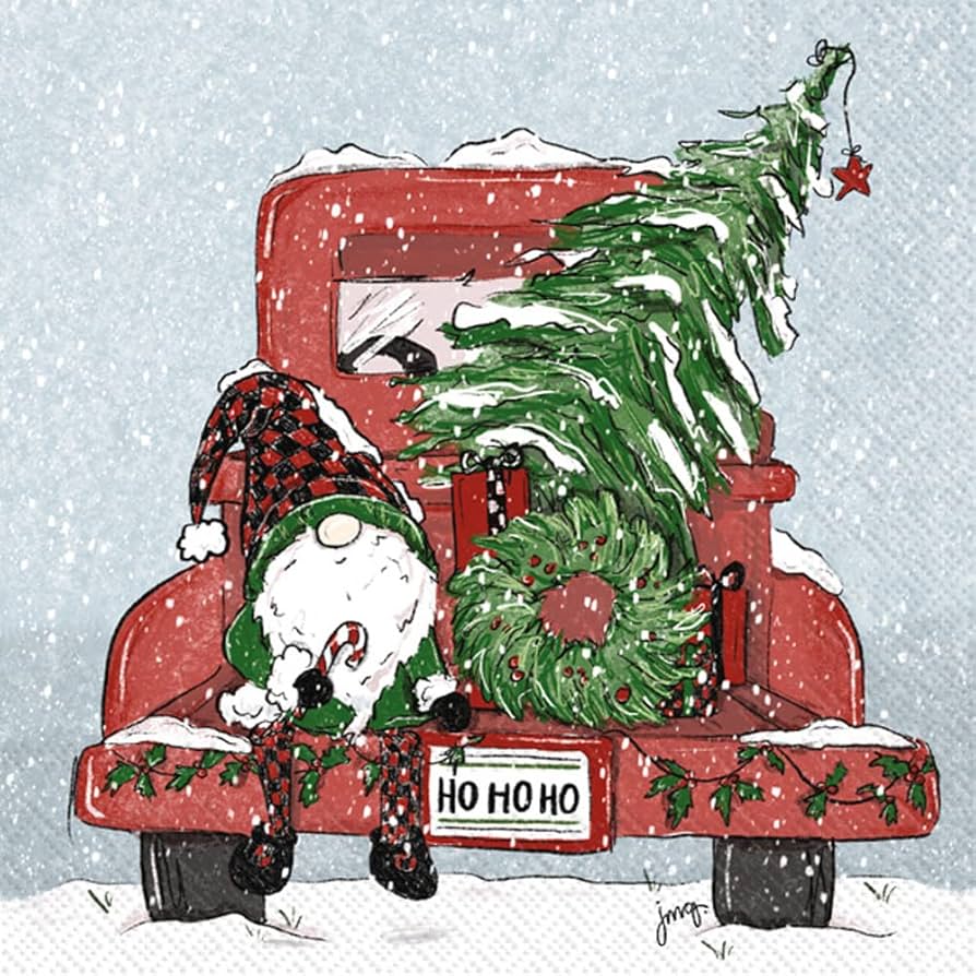 Serviette Papier Rouge Boston International Marimekko Lot De 20