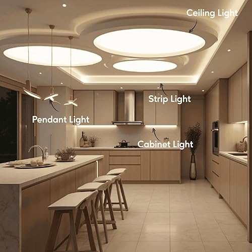 Miniatura 6 de Transformador electrónico halógeno de 60 vatios en maceta de 120 voltios de entrada/salida de 12 voltios, reinicio automático, arranque suave,