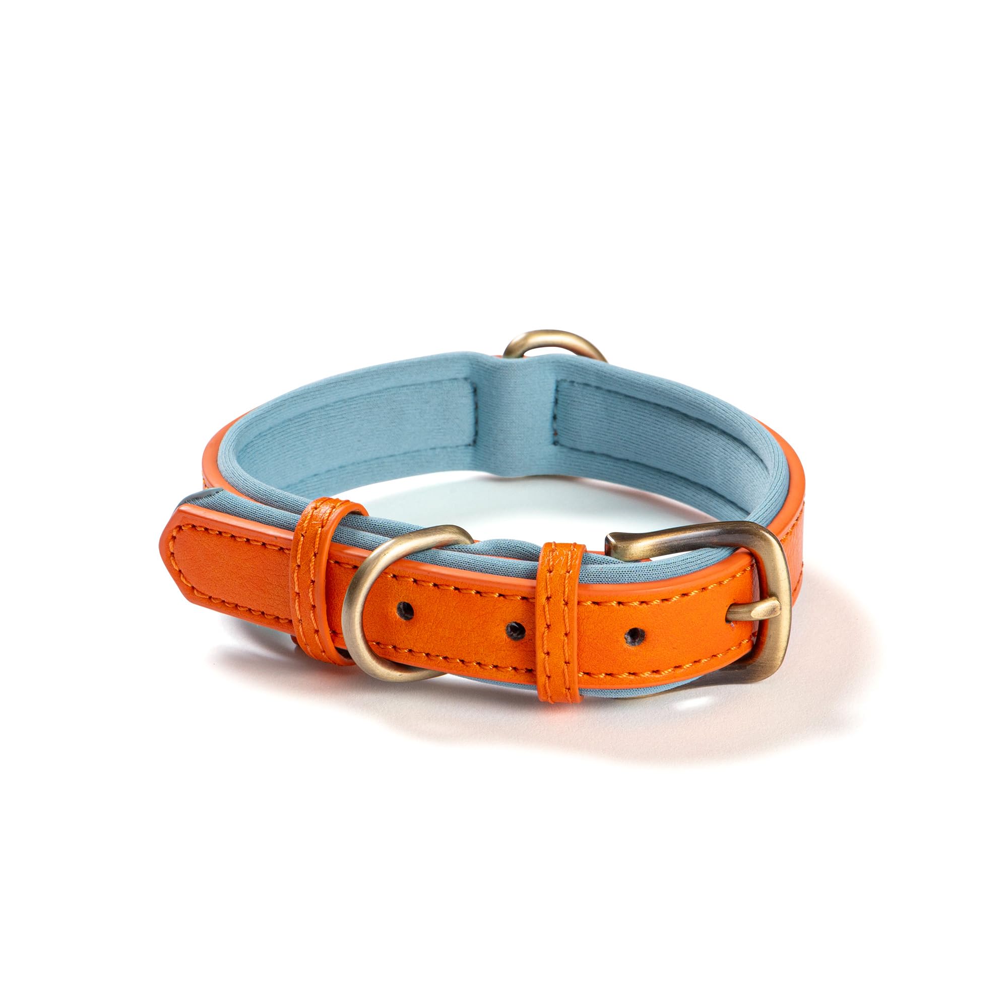 Amazon | 犬 首輪 軽量 レザー かわいい おしゃれ 犬の首輪