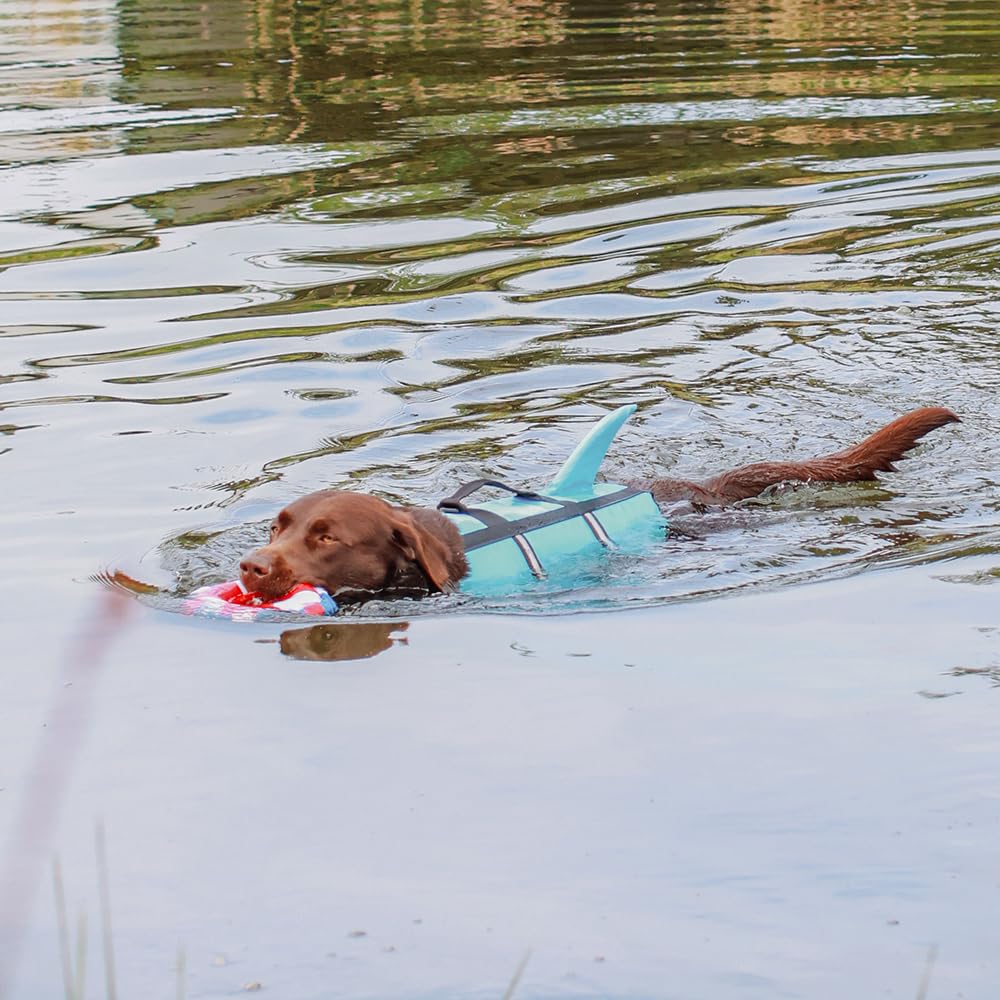 Nobby 61031 Hunde Schwimmhilfe Sharki hellblau Größe: S, 30 cm