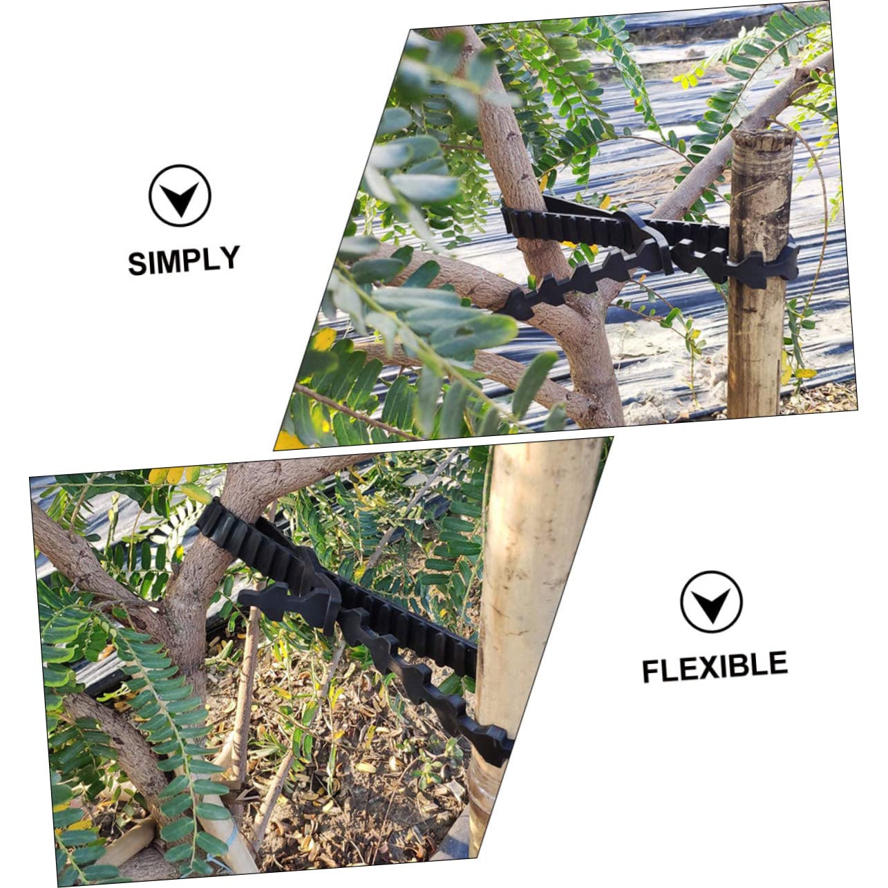 10 Pezzi Cinghie in Gomma per Legare Alberi e Bonsai, Fascette Regolabili per Giardino Esterno, Supporto Sicuro per Piante e Alberi da Frutta Nero