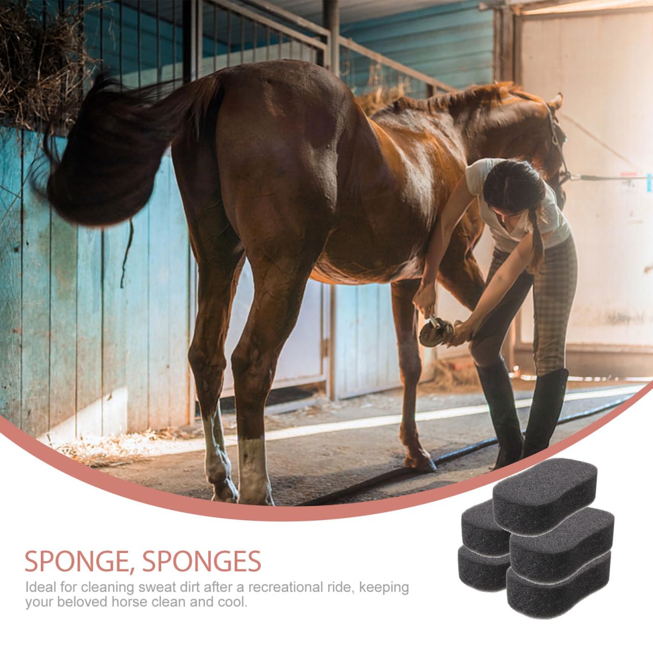 CIYODO 5Pcs Horse Grooming Sponges Soft Cleaning Sponges for Horse Bathing Sweat Dirt Removal Comfortable Grip Equestrian Care Bath Tools - Image 3