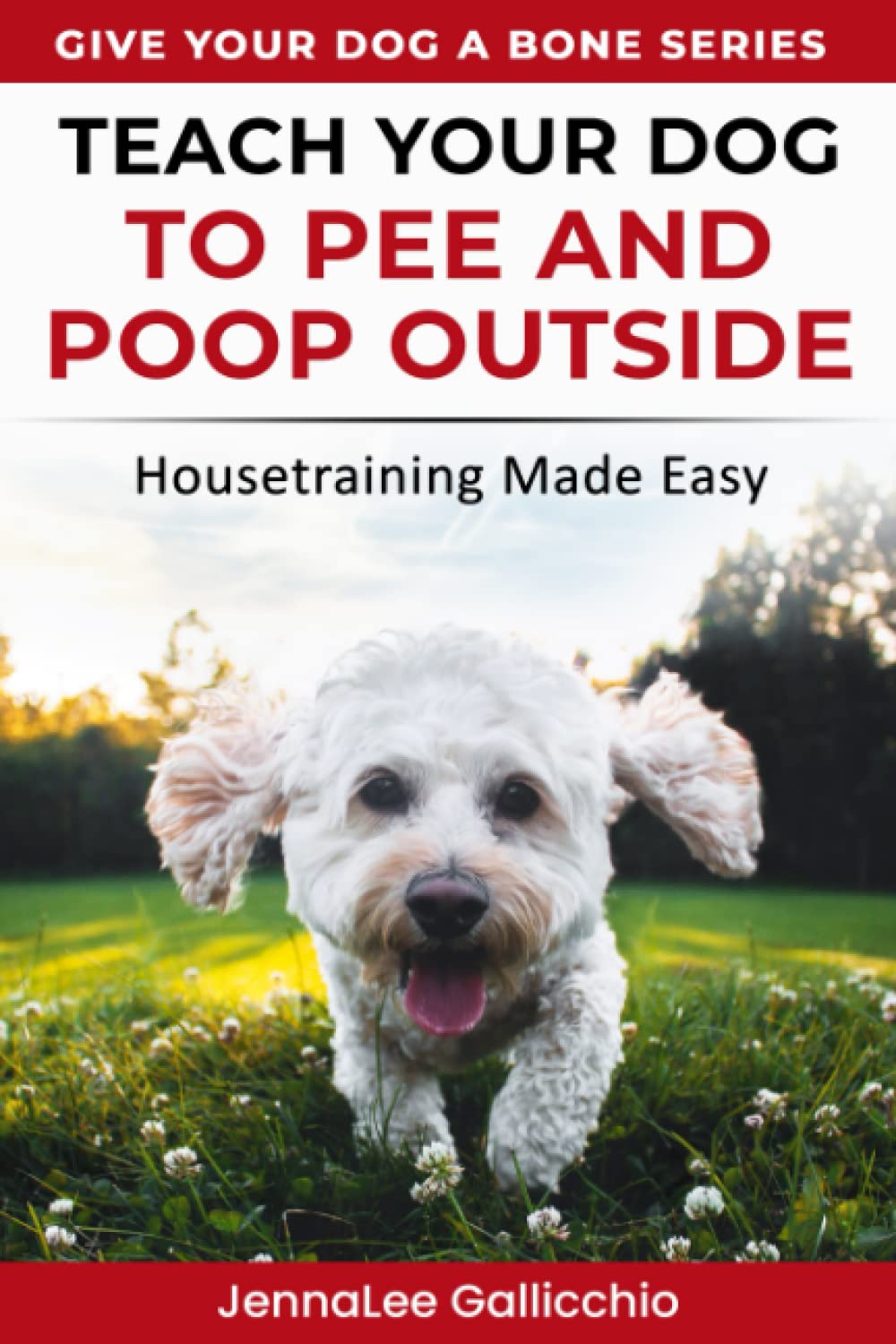 Teach Your Dog to Pee and Poop Outside Housetraining Made Easy (Give