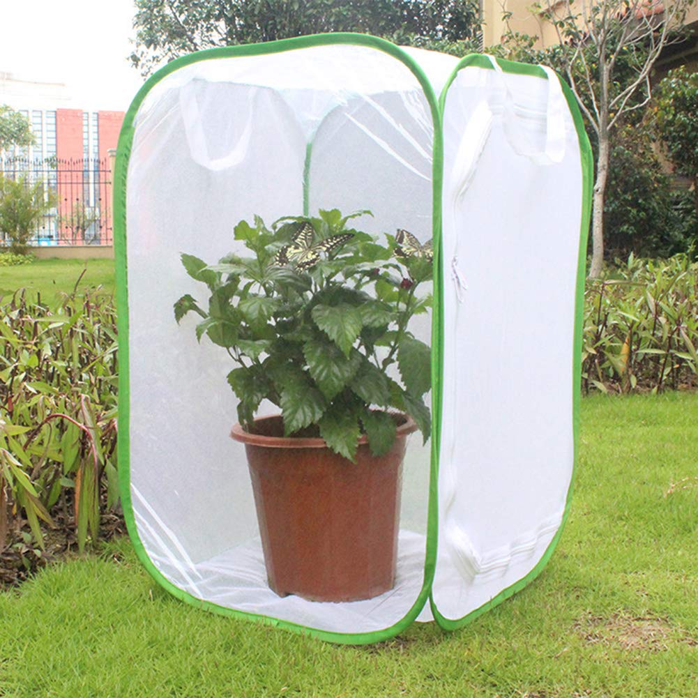 Insekten- und Schmetterlingsnetz, tragbar, zusammenklappbar, Terrarium, Pop-Up-Schmetterlingsnetz, Käfig für Kinder