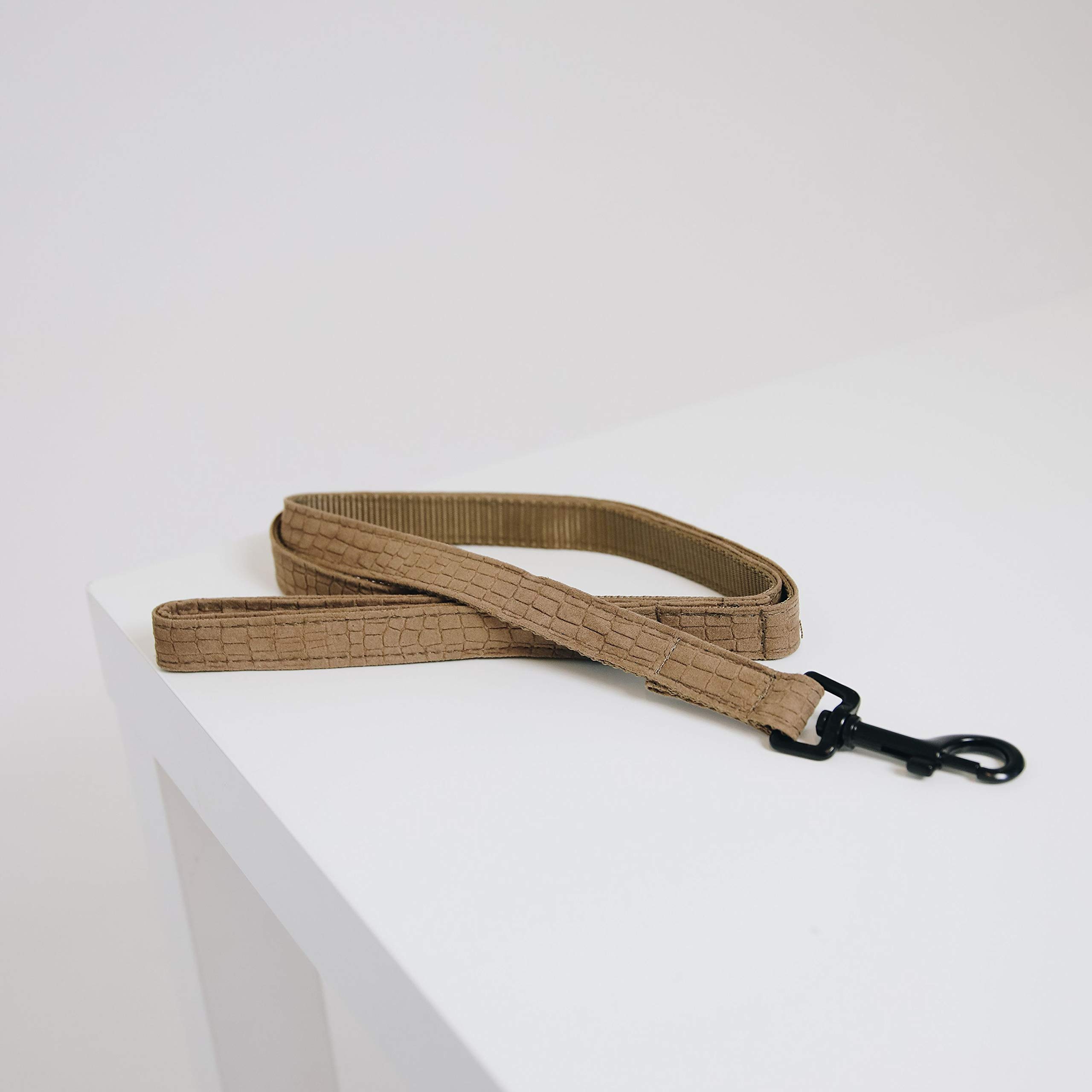 Chien accessoires : la laisse canvas brun anti-irritation et ultra solide